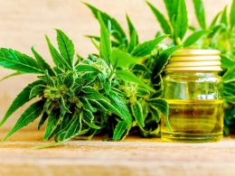 cbd oil how to use