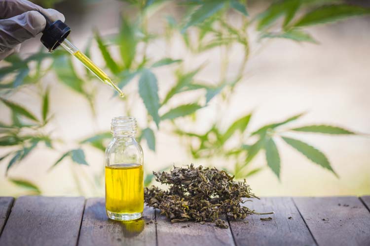 How long does it take for CBD oil to work