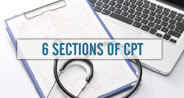 6 Sections of CPT