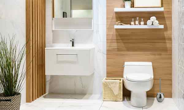 Different types of non-flush toilets
