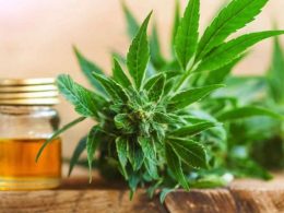 How Can CBD Oil Help Low Back Pain