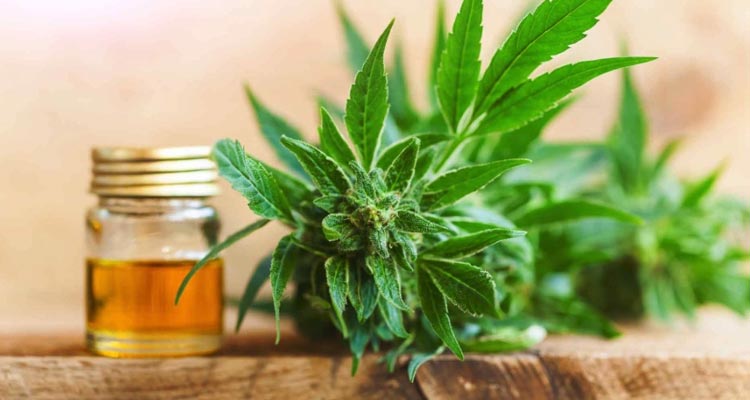 How Can CBD Oil Help Low Back Pain