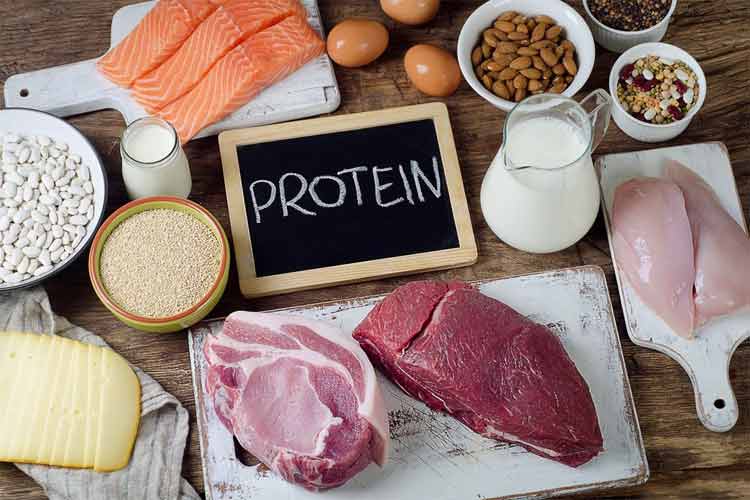 What Is A High Protein Diet
