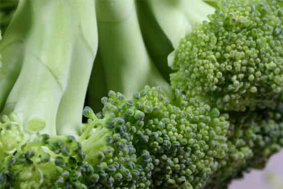 Can broccoli work better to reduce weight