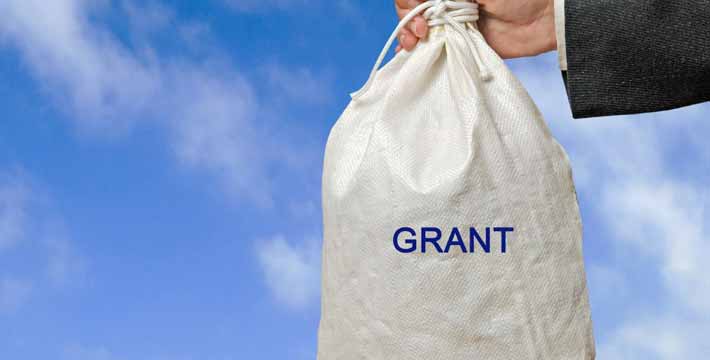 Small Government Grants