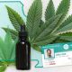 Tips on How to Get Your Medical Marijuana Card Online
